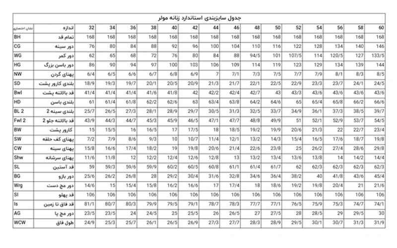 جدول سایزبندی استاندارد زنانه مولر